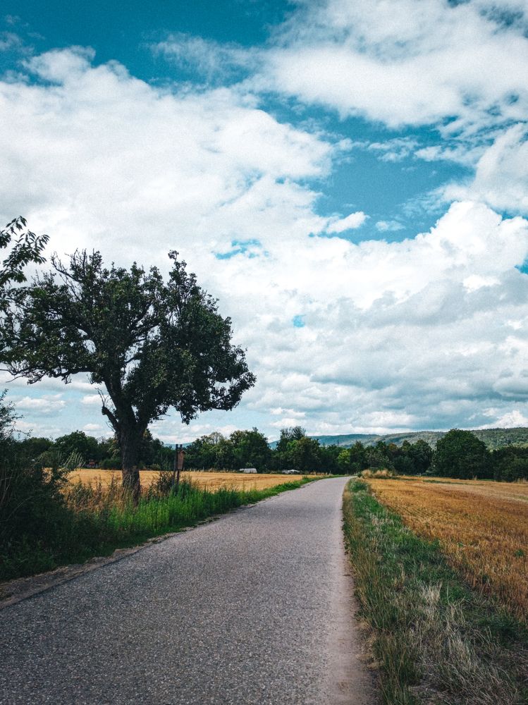 Фотография автора Валерия Правдюк