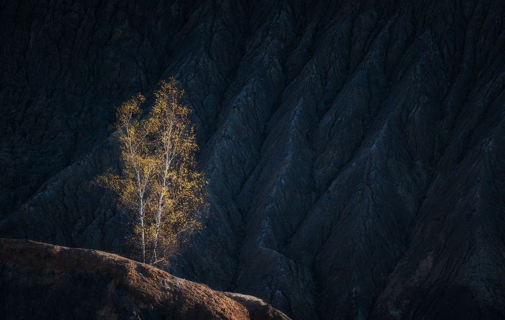 Photograph by Левыкин Виталий