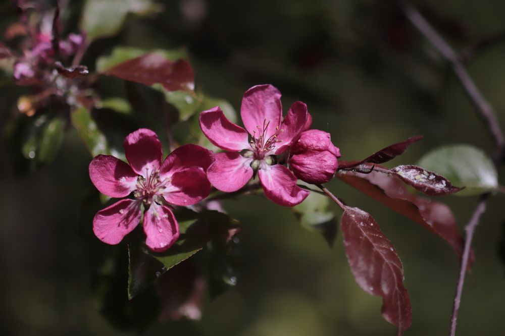 Photograph by Светлана Соколова