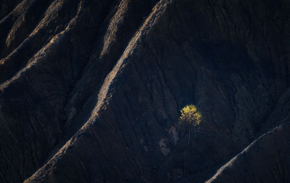 Photograph by Левыкин Виталий