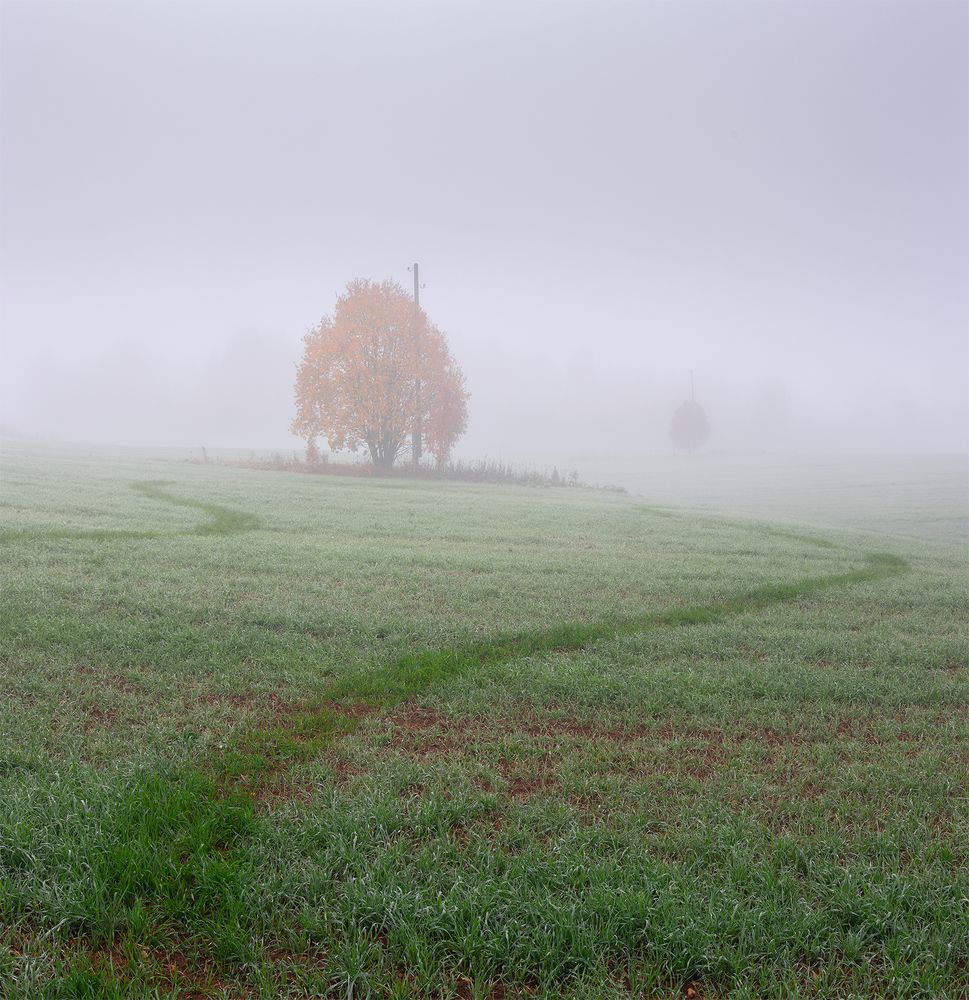 Фотография автора Сергей Буторин