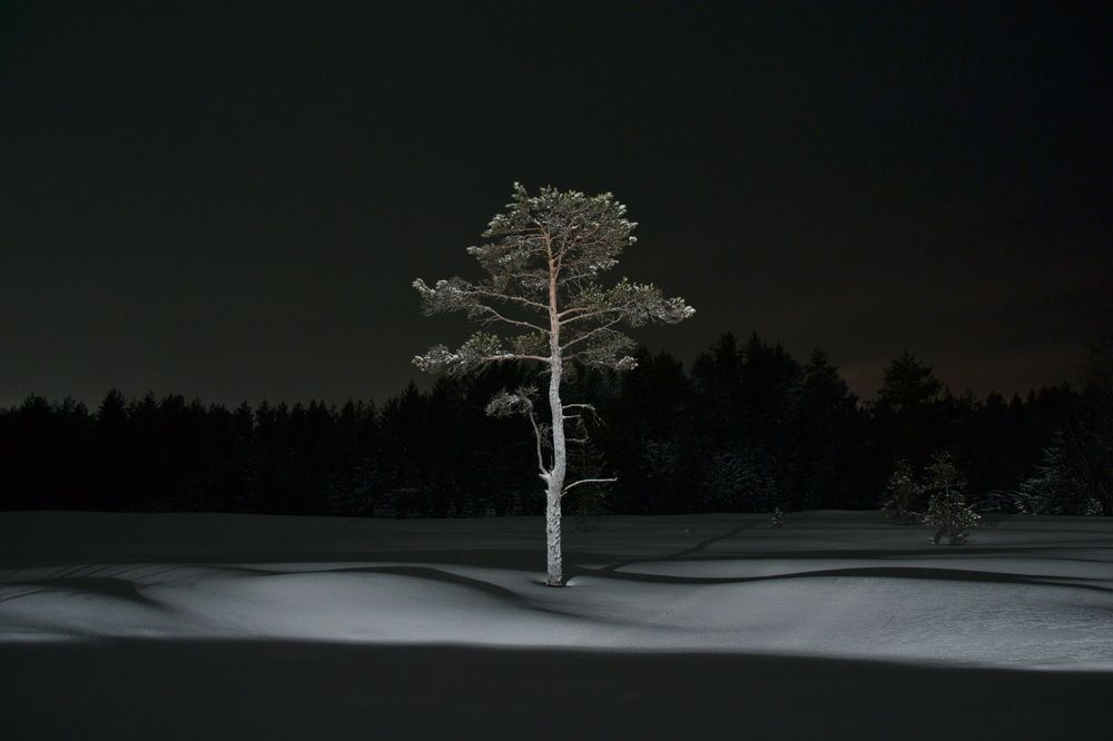 Photograph by Алексей Шехонин