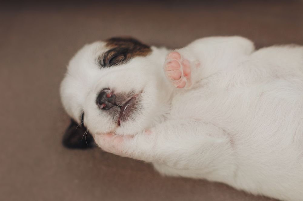 Photograph by Швецова Дарья