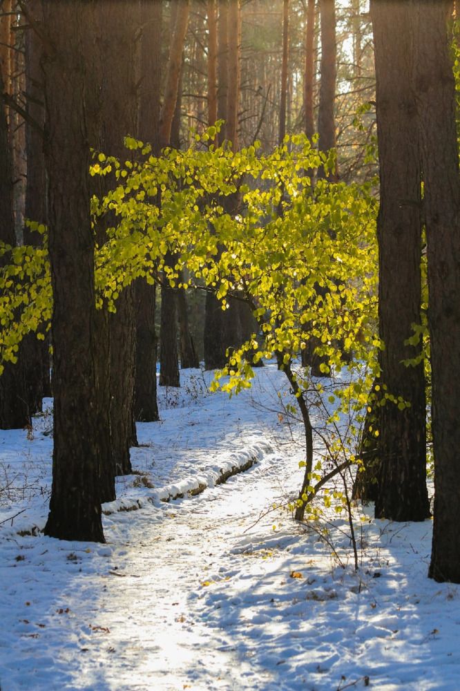 Photograph by Дмитрий Тимин