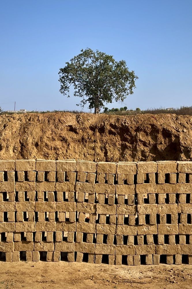 Фотография автора BIPLAB MISRA