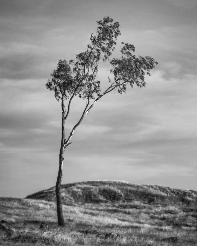 Photograph by Abhijeet Sawant