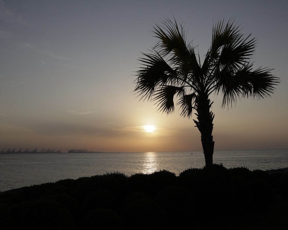 Фотография автора Ирина Мосько