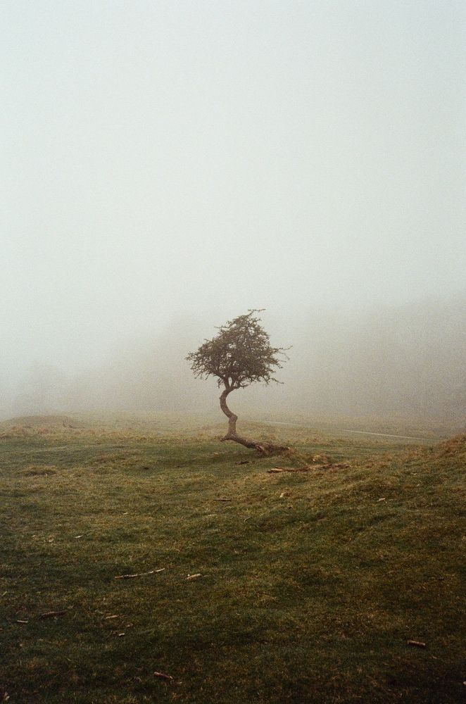 Photograph by Olga Smirnova