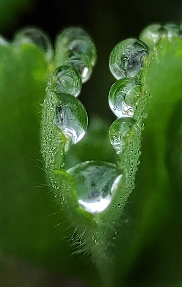 Photograph by PERESHEIN ANDREY