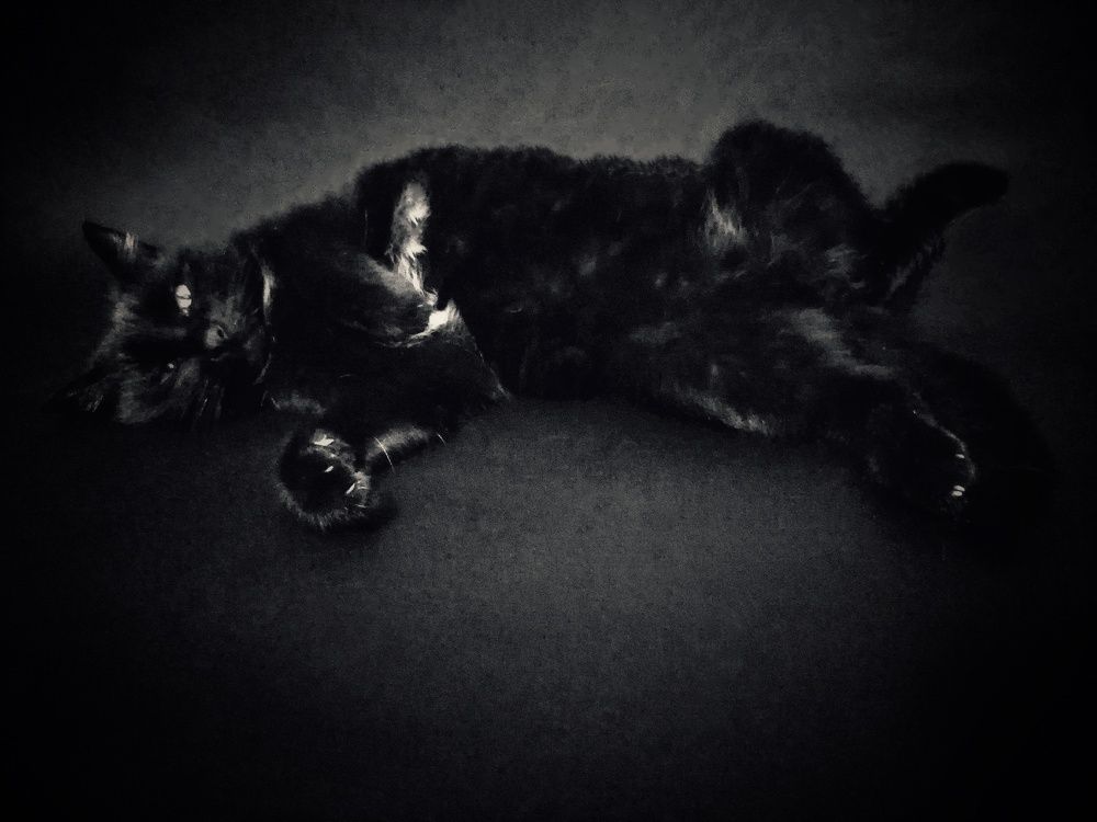 Чёрный на чёрном