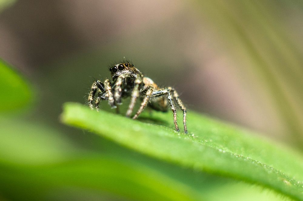 Photograph by Людмила Прибылова