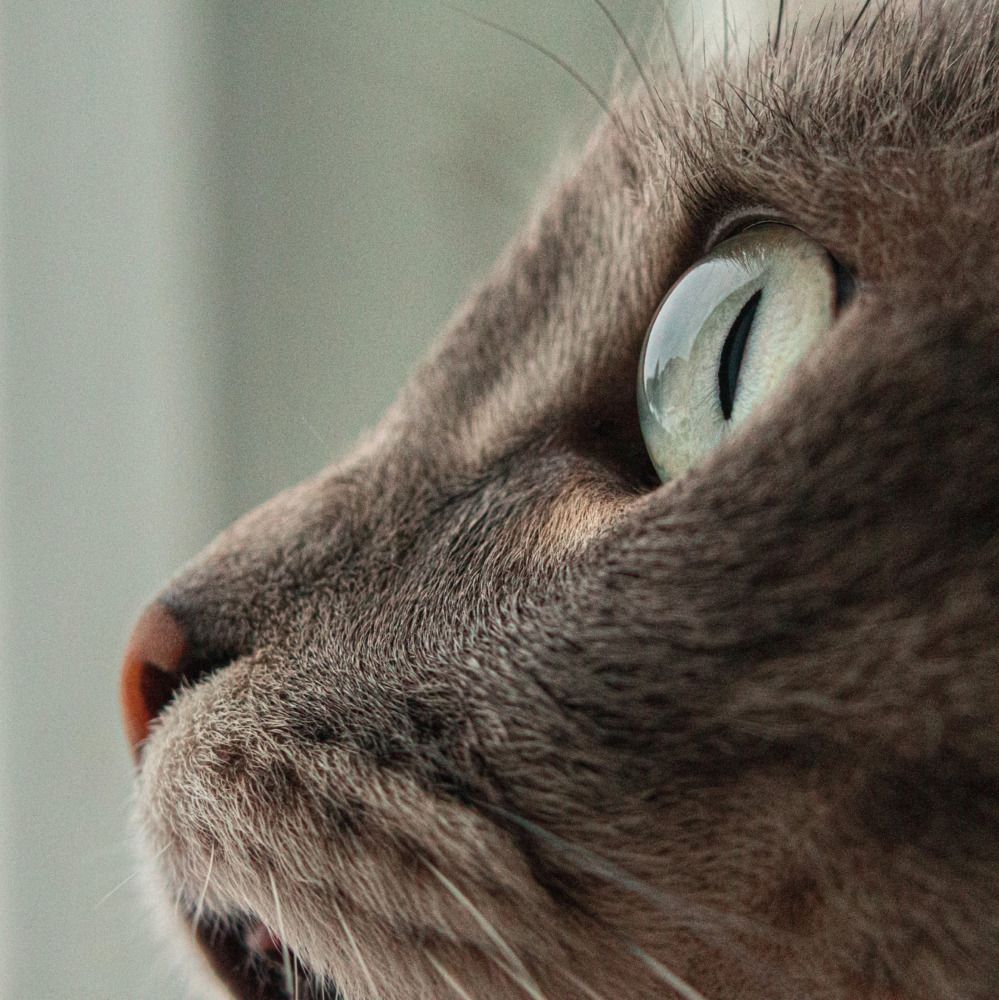 Photograph by Гульнара