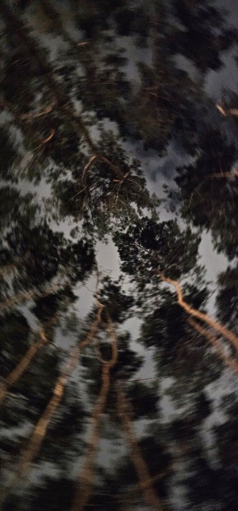 Фотография автора Evgeniia KHOKHLOVA