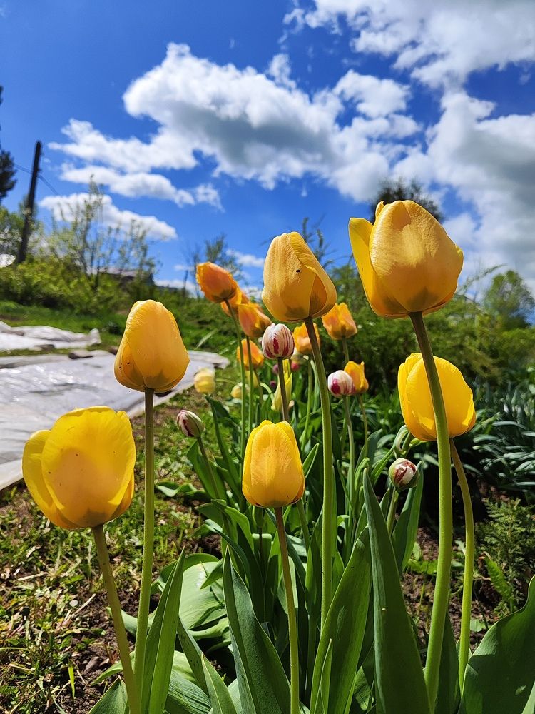 Photograph by Даша Бушуева