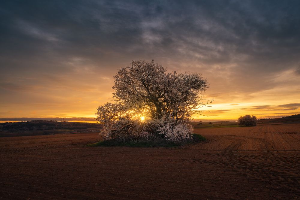 Photograph by Alberto (aavcaptures) Alonso