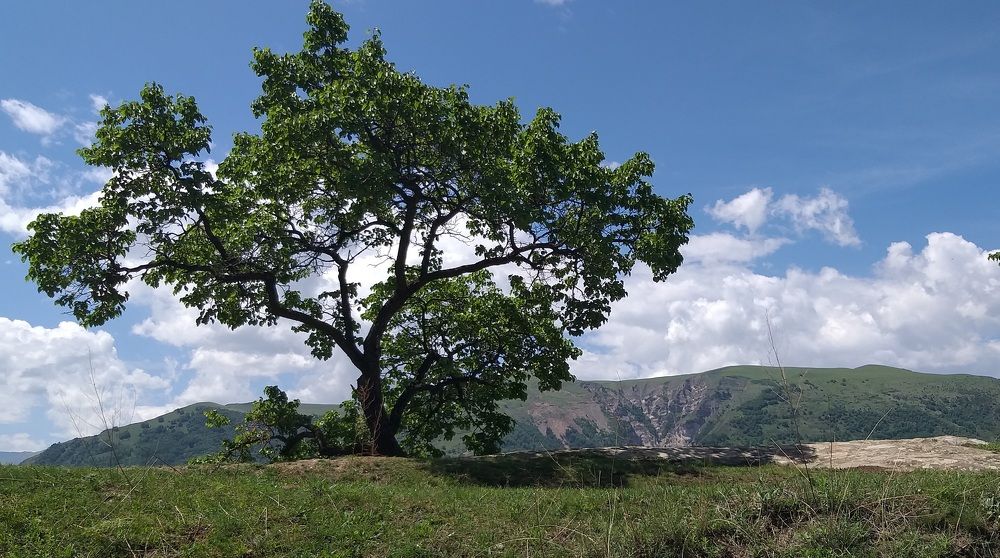 Photograph by Лейсан