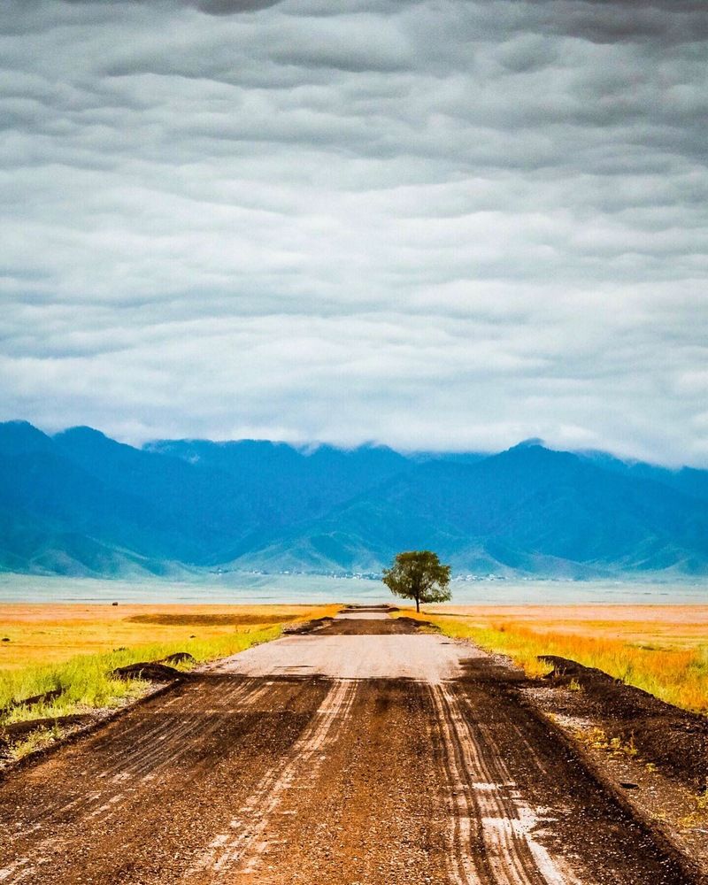 Photograph by Айсултан Каражигитов