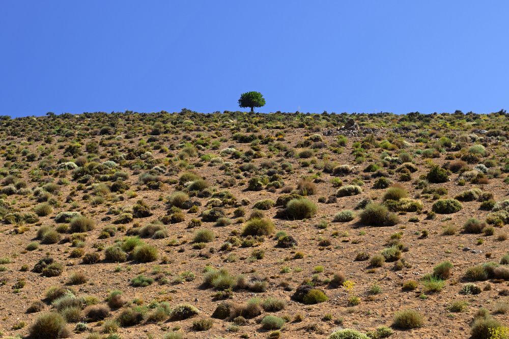 Photograph by Amirhossein Yousefi Keysari