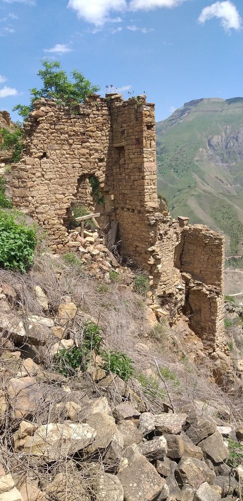 Photograph by Лейсан