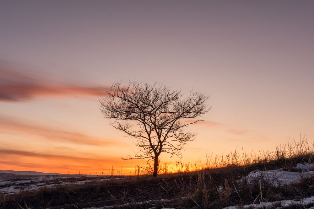 Photograph by Ivan Sazykin