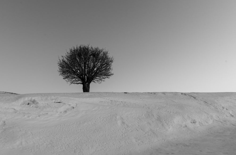 Photograph by ZANYAR RASOOL Awla