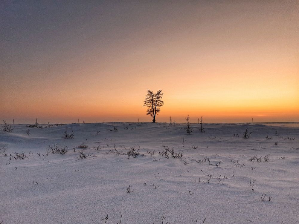 Photo #10622967