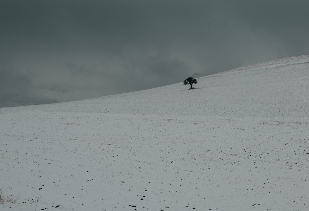 Photograph by ZANYAR RASOOL Awla