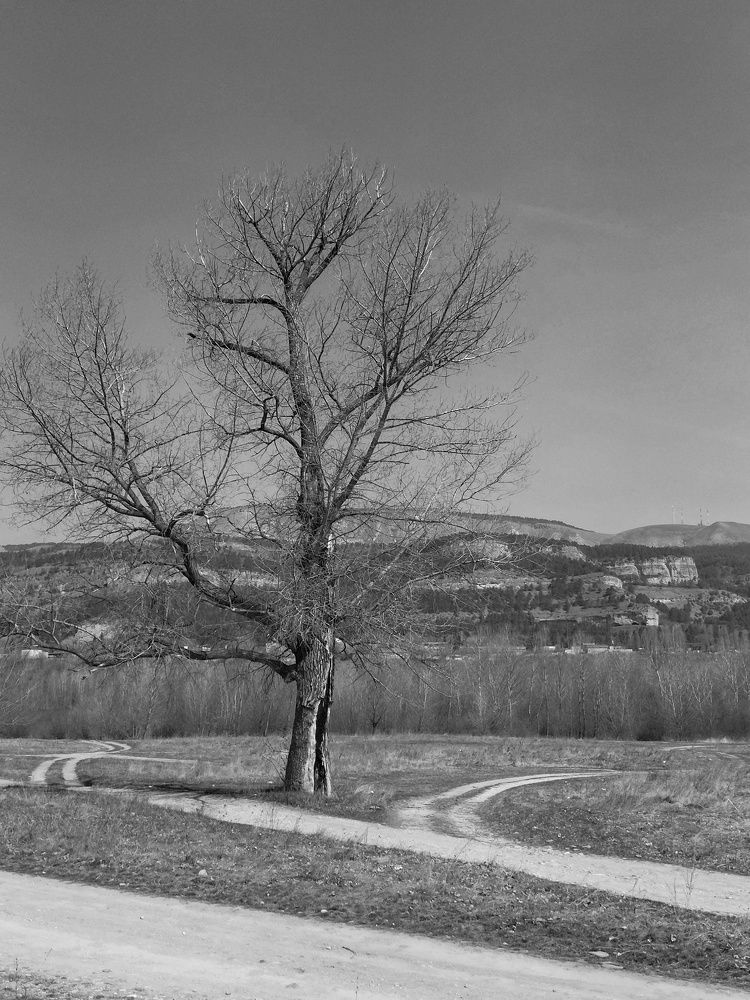 Photograph by Эльза Трисантович