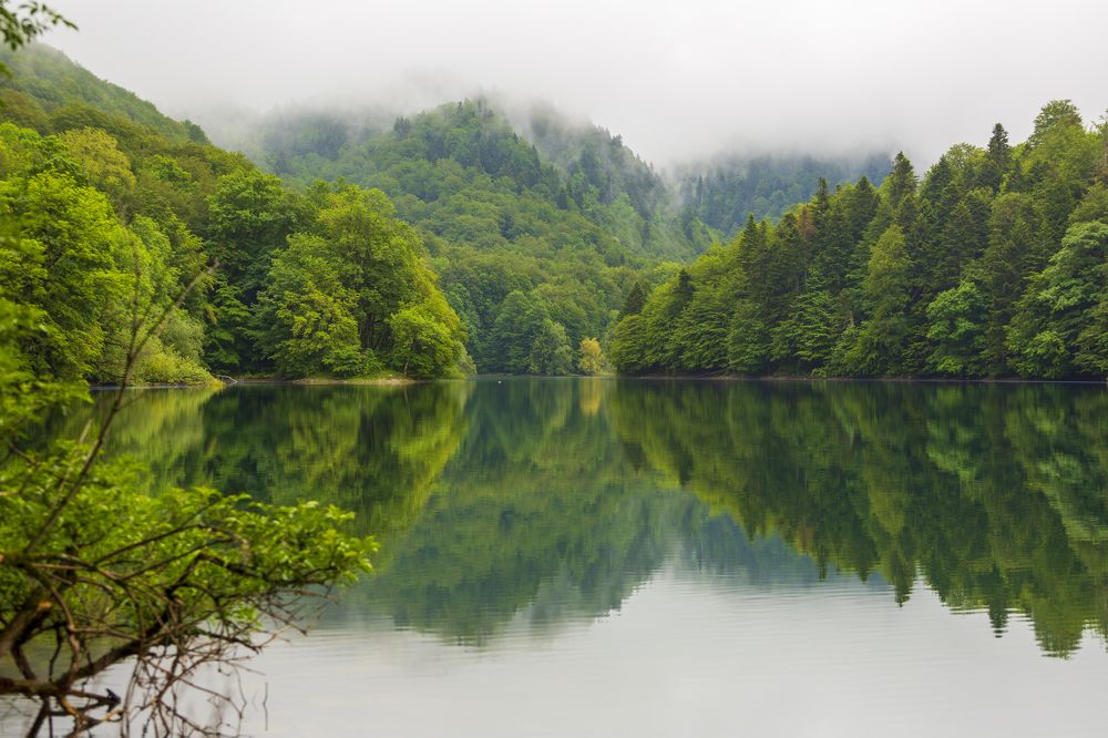 Photograph by Евгений Цапенко