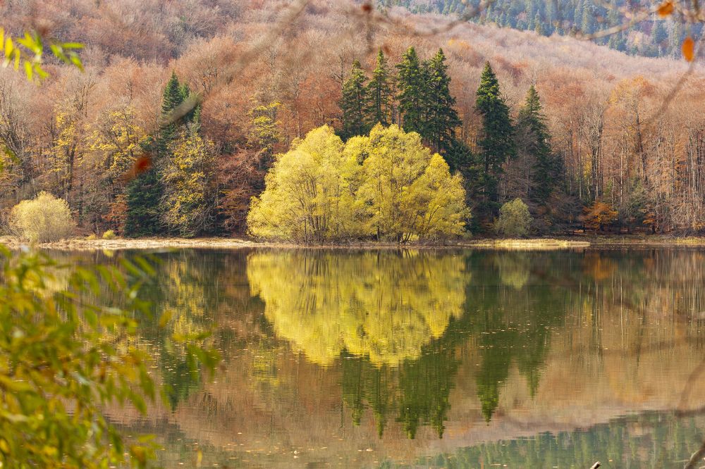 Photograph by Евгений Цапенко