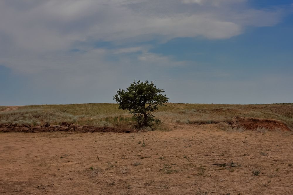 Photograph by Ирина Шибитова