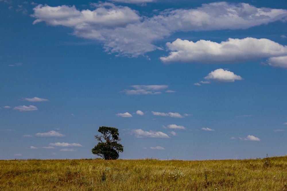 Photograph by Ирина Шибитова