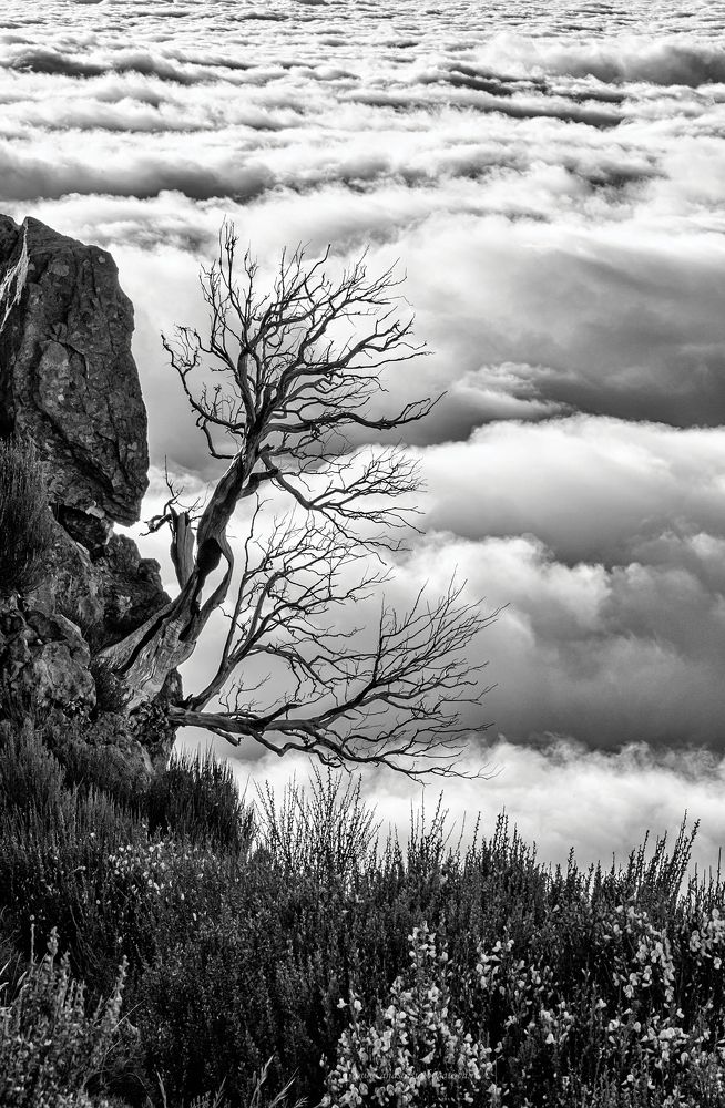 Заоблачное одиночество