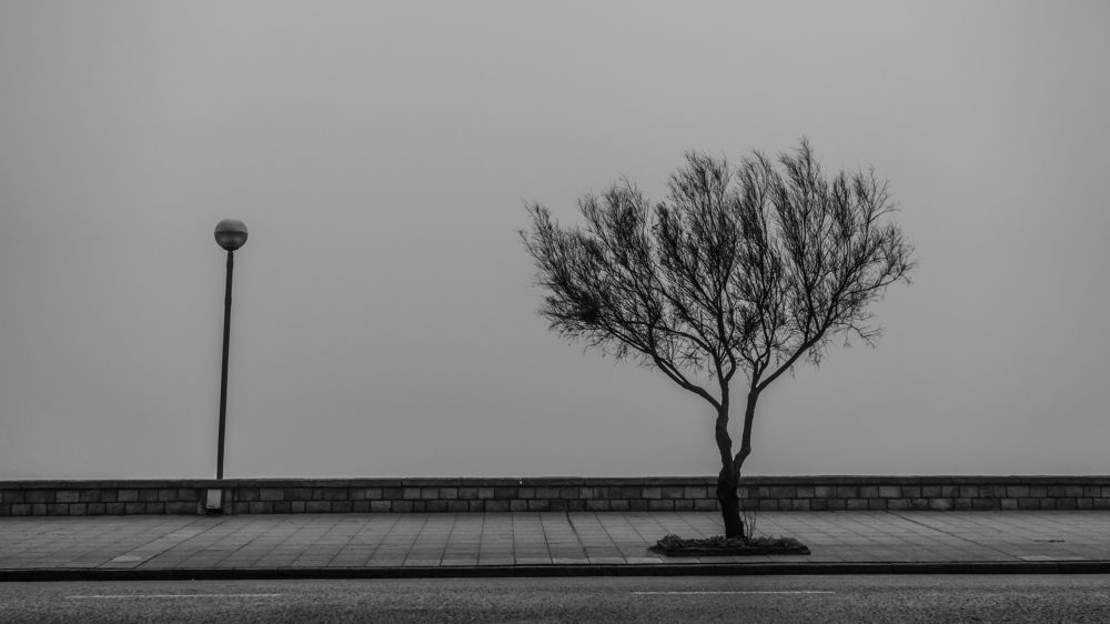 Photograph by antonio Solimeno