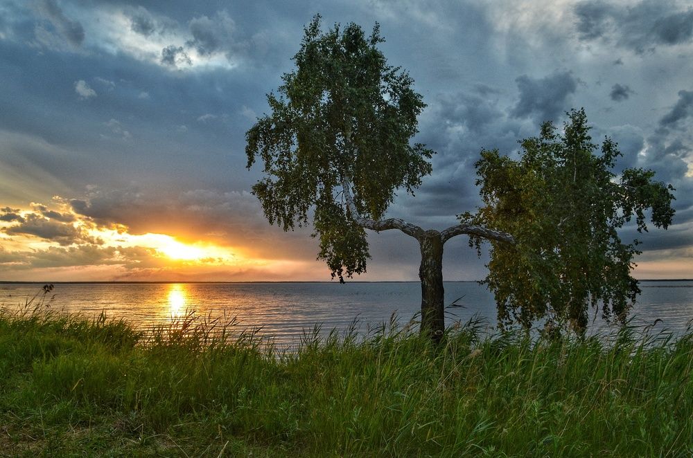 Photograph by Елена Чащина