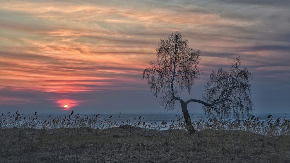 Photograph by Елена Чащина