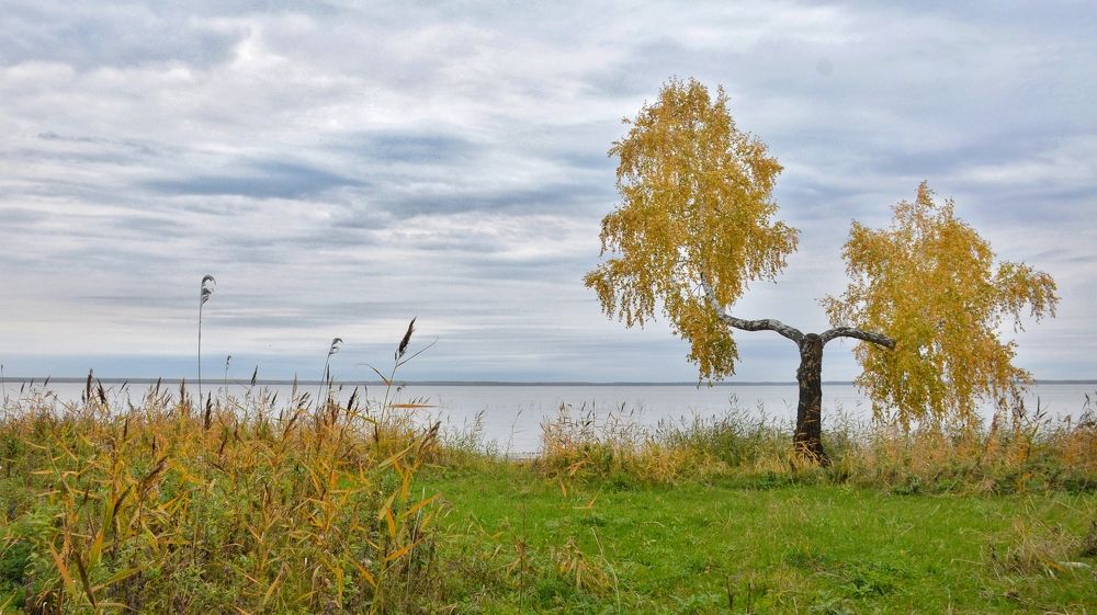 Photograph by Елена Чащина