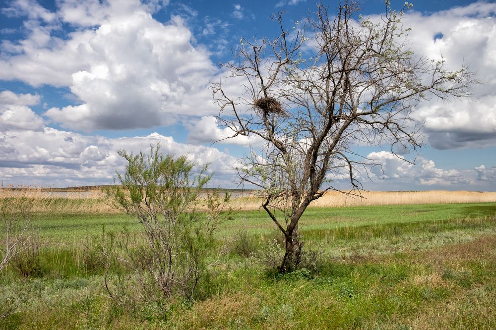 Photograph by Анастасия Богатова
