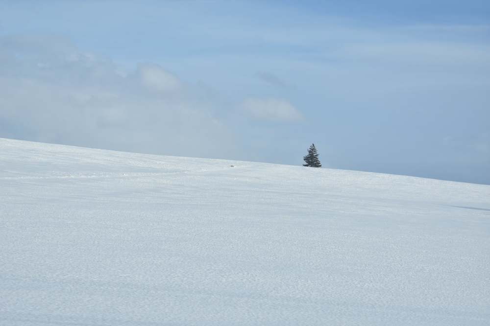 Фотография автора Sen Abhijit