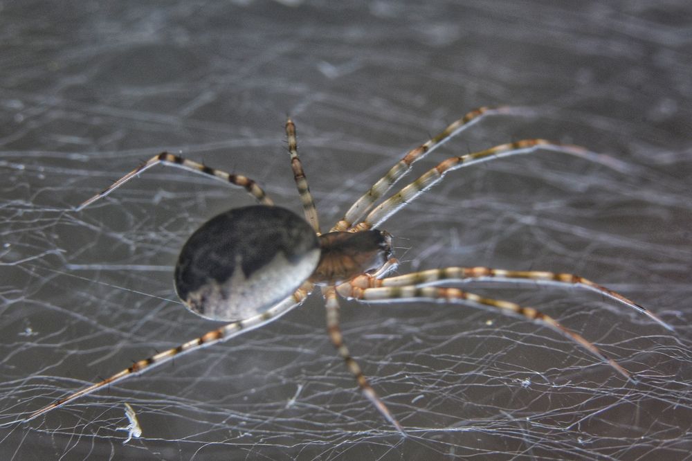 Photograph by Елена Чащина