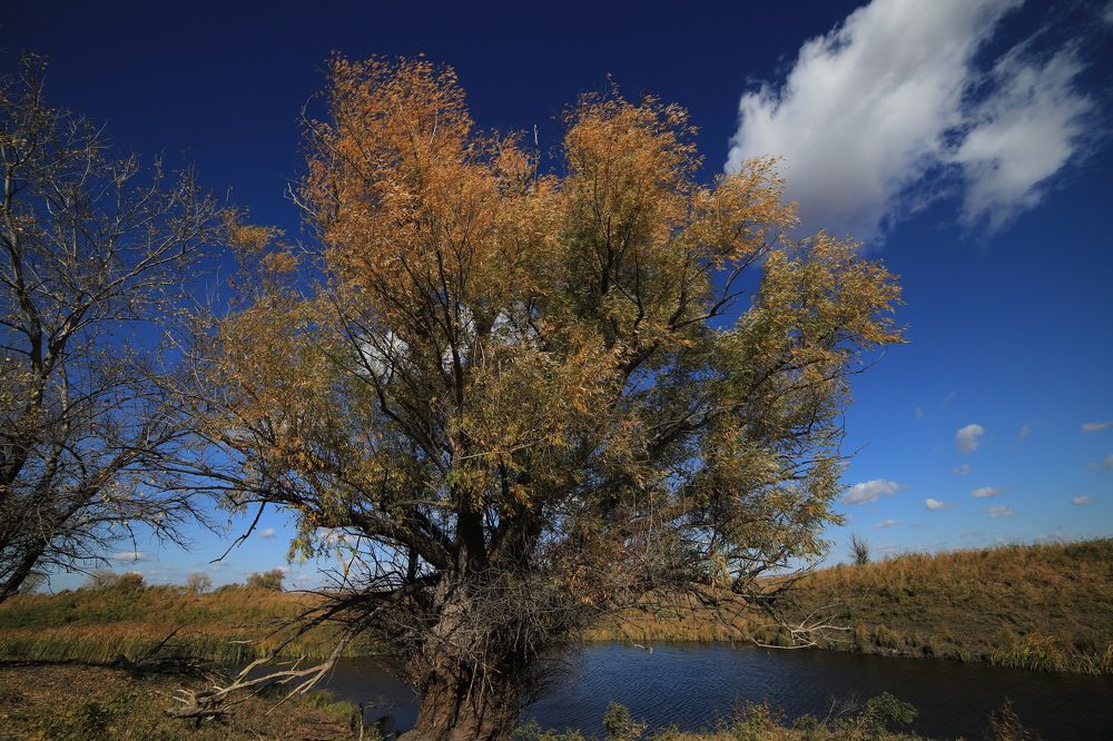 Photograph by Виктор Владимиров