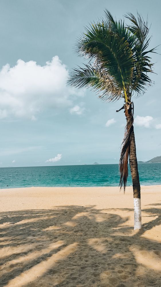 Photograph by Irina Grass