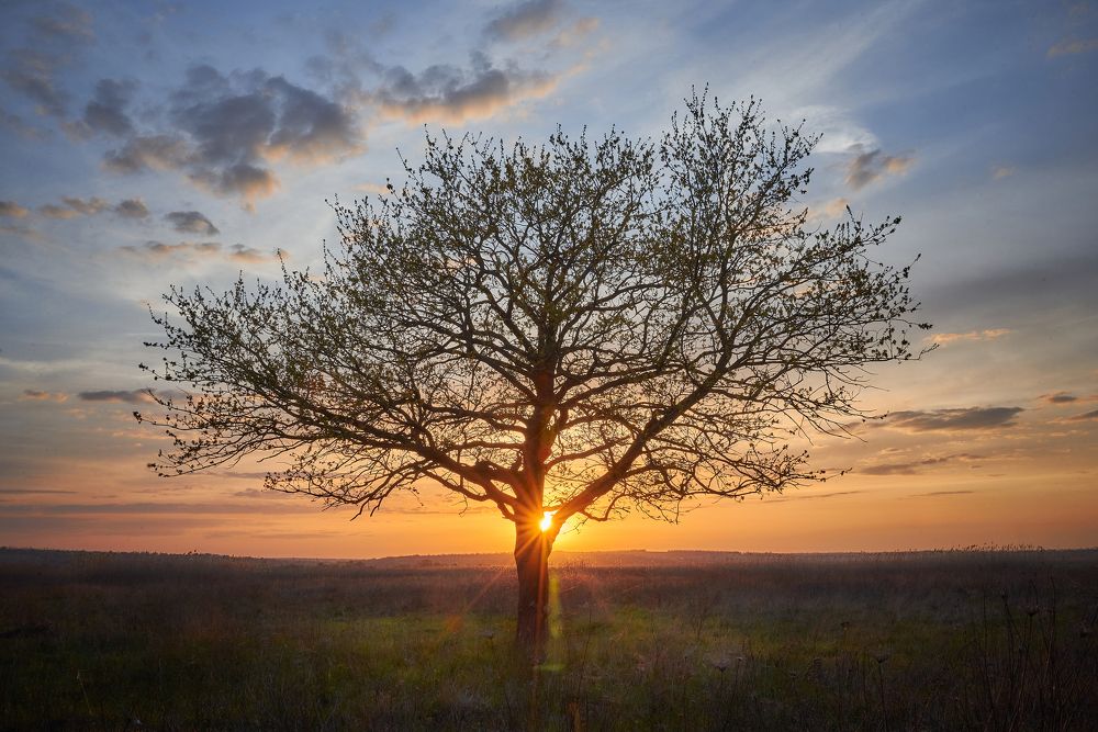 Photograph by Виталий Кравченко