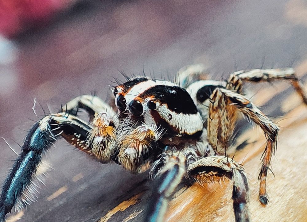 Photograph by Sajad Alizadeh