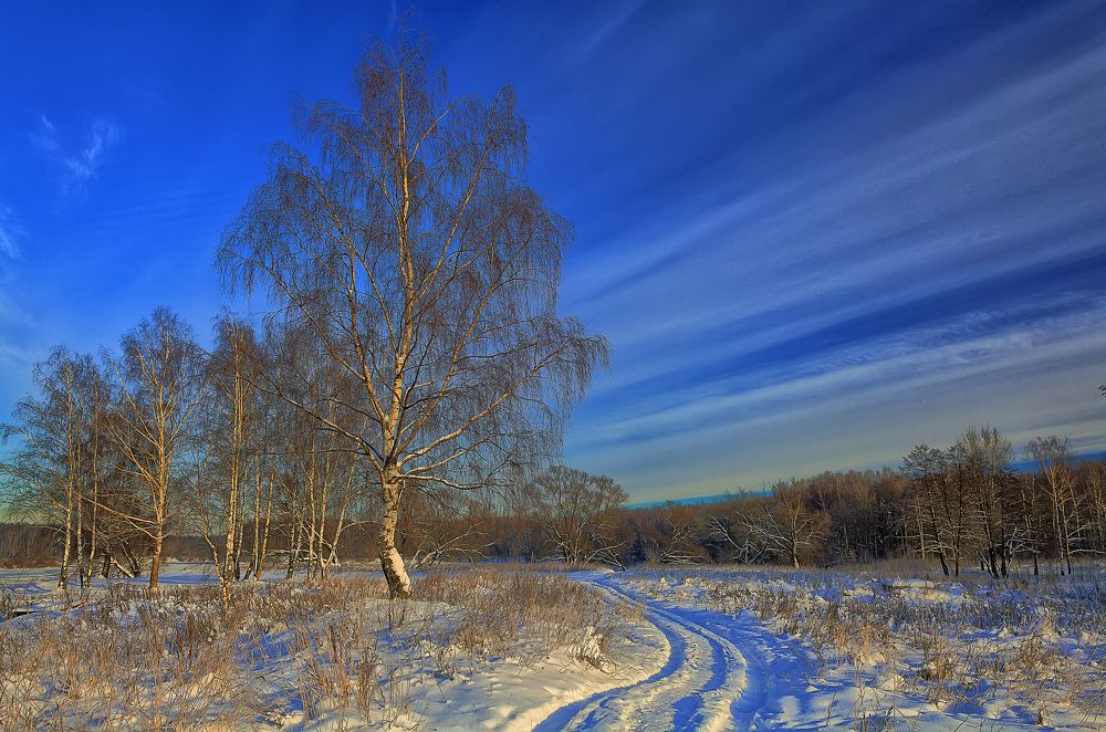 Photograph by Денис Сухачев