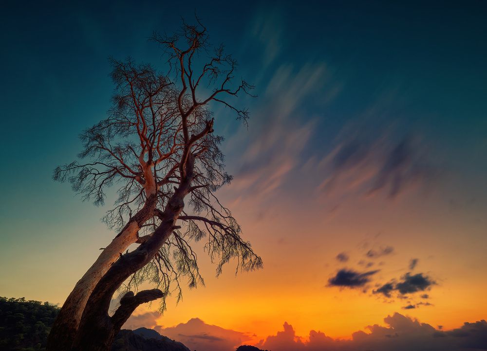 Photograph by Бодрый Славик