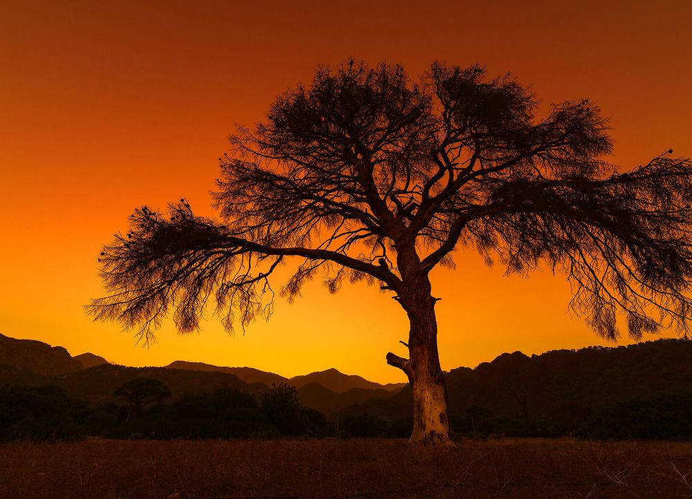 Photograph by Бодрый Славик