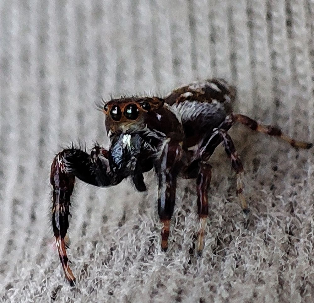 Photograph by Sajad Alizadeh