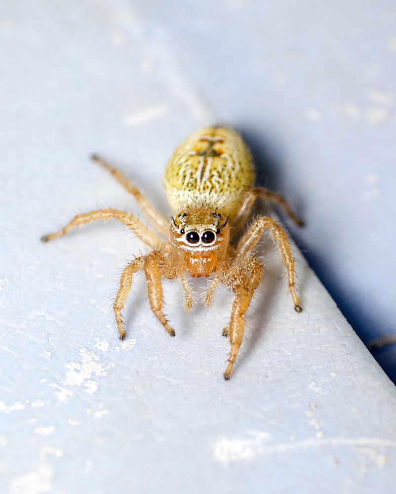 Photograph by Sahar Jafari