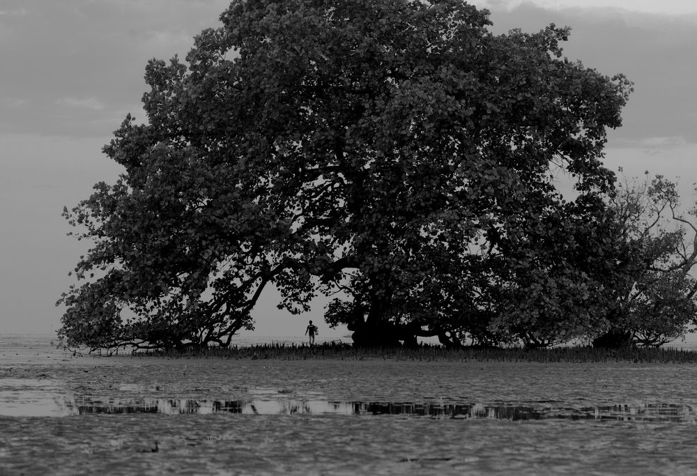 Photograph by Syamsul Alam